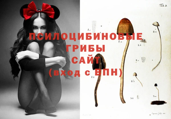 ALPHA PVP Михайловка