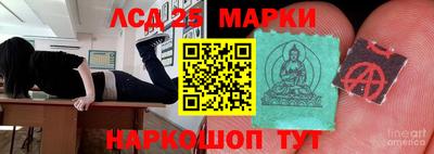 прущие грибы Будённовск