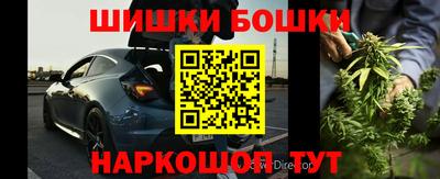 индика Абакан