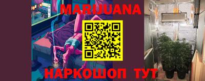 прущие грибы Будённовск