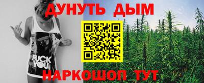 прущие грибы Будённовск
