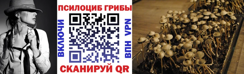 Галлюциногенные грибы Psilocybine cubensis  Дубна 