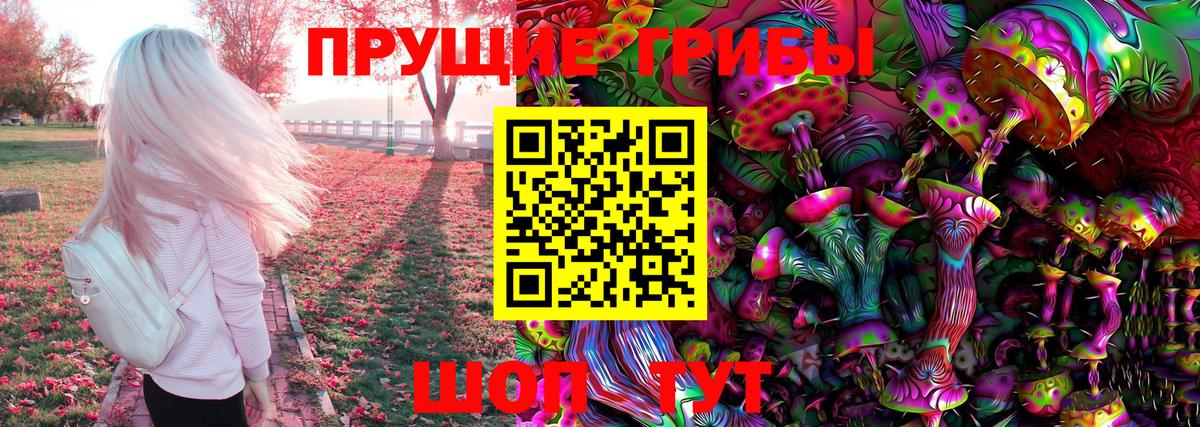 Дубна  Псилоцибиновые грибы Psilocybe  Вход с VPN 